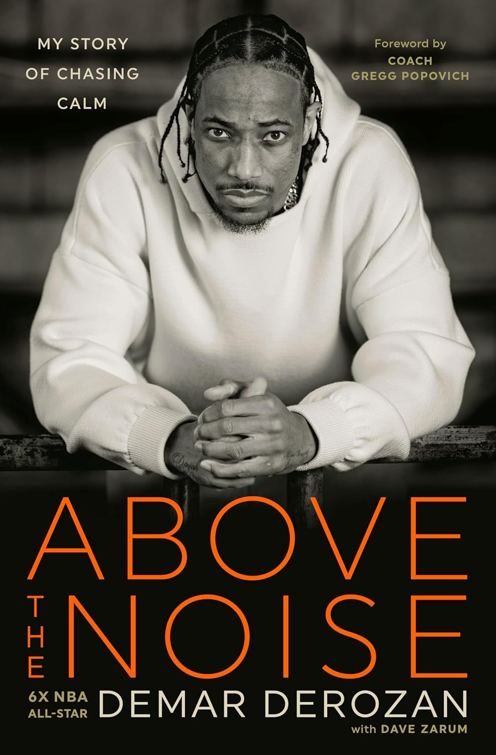 Above the Noise: My Story of Chasing Calm baixar o livro de graça