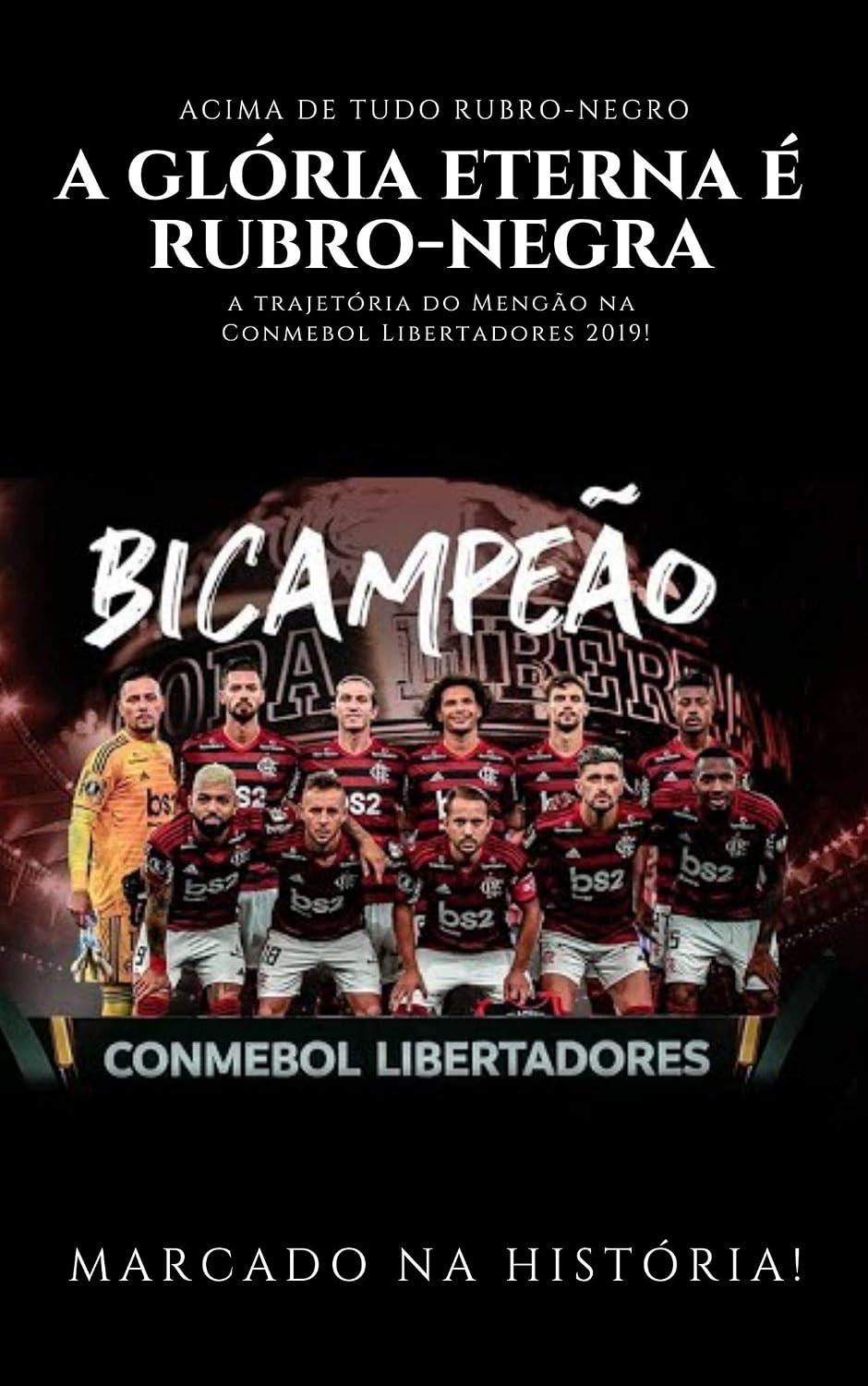 A Glória Eterna é Rubro-Negra baixar livro de graça