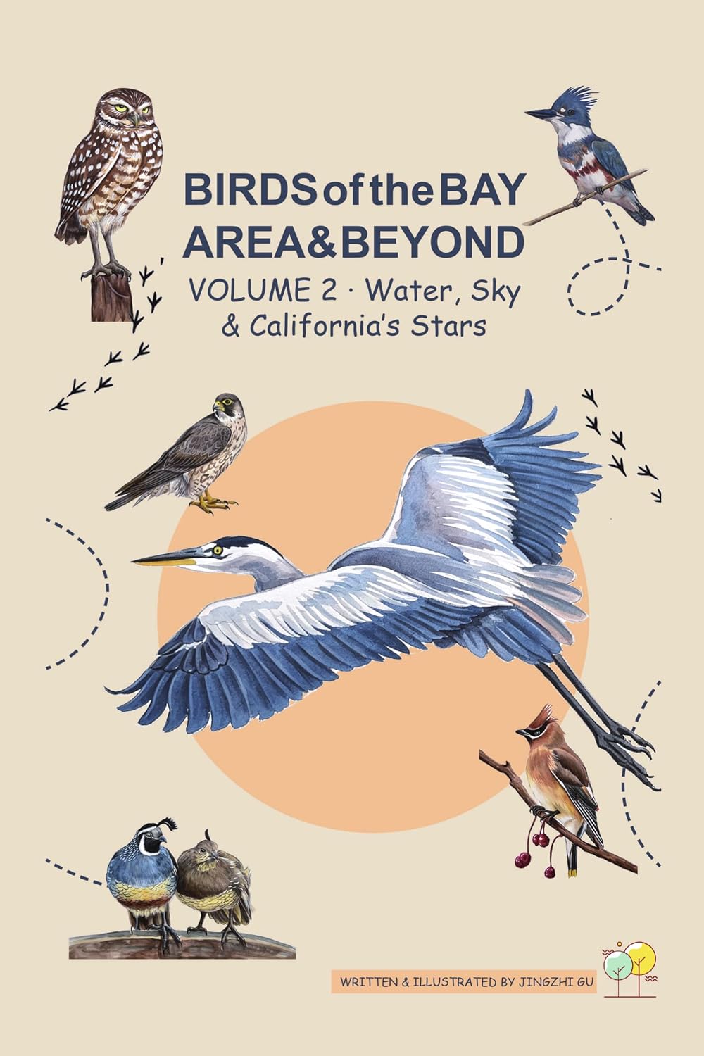BIRDS of the BAY AREA & BEYOND: Volume 2 · Water, Sky & California's Stars (English Edition) baixar o livro de graça