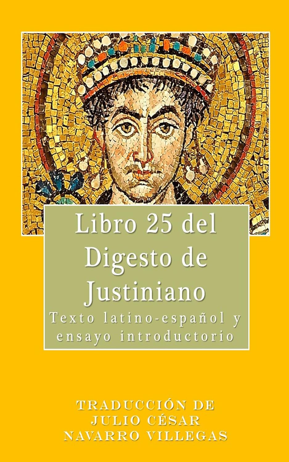capítulo por capítulo baixar Libro 25 del Digesto de Justiniano (traducción): Texto latino-español y ensayo introductorio (Spanish Edition)