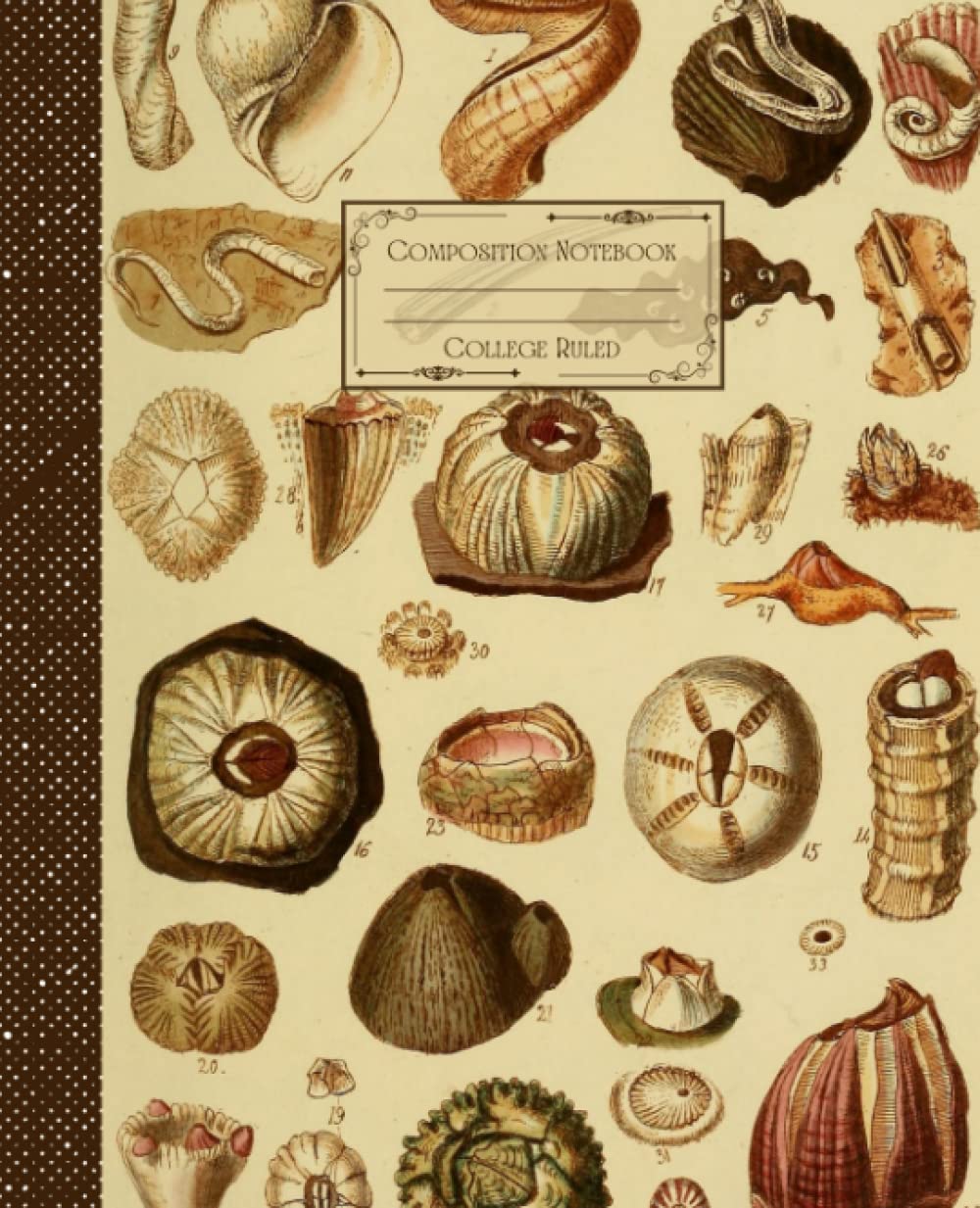 ler totalmente Vintage Seashells Composition Notebook College Ruled: Antique Seashells Illustration | Classic Composition Notebook for Writing and Journaling |... for College Students, School and Work.