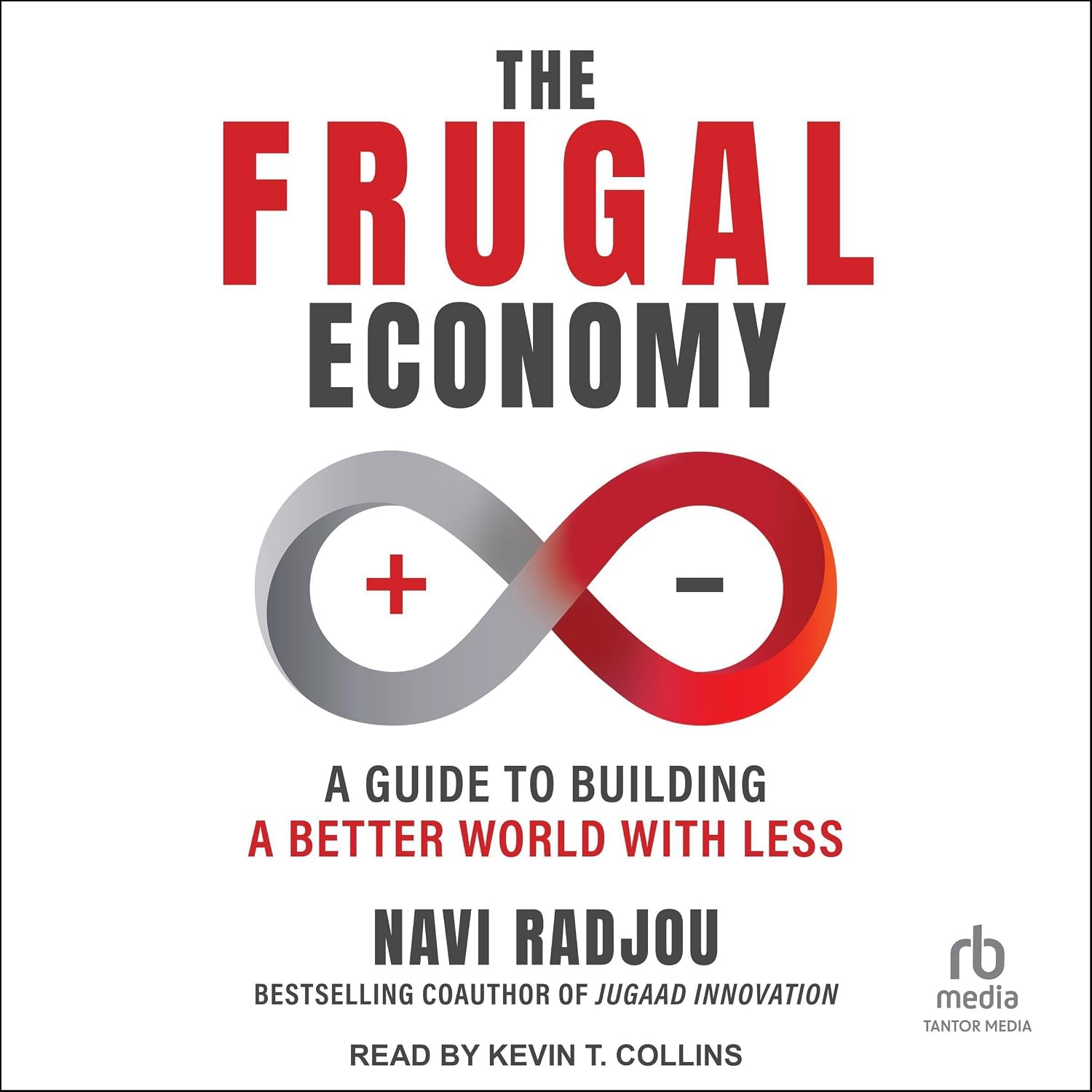 The Frugal Economy: A Guide to Building a Better World with Less baixar livro de graça