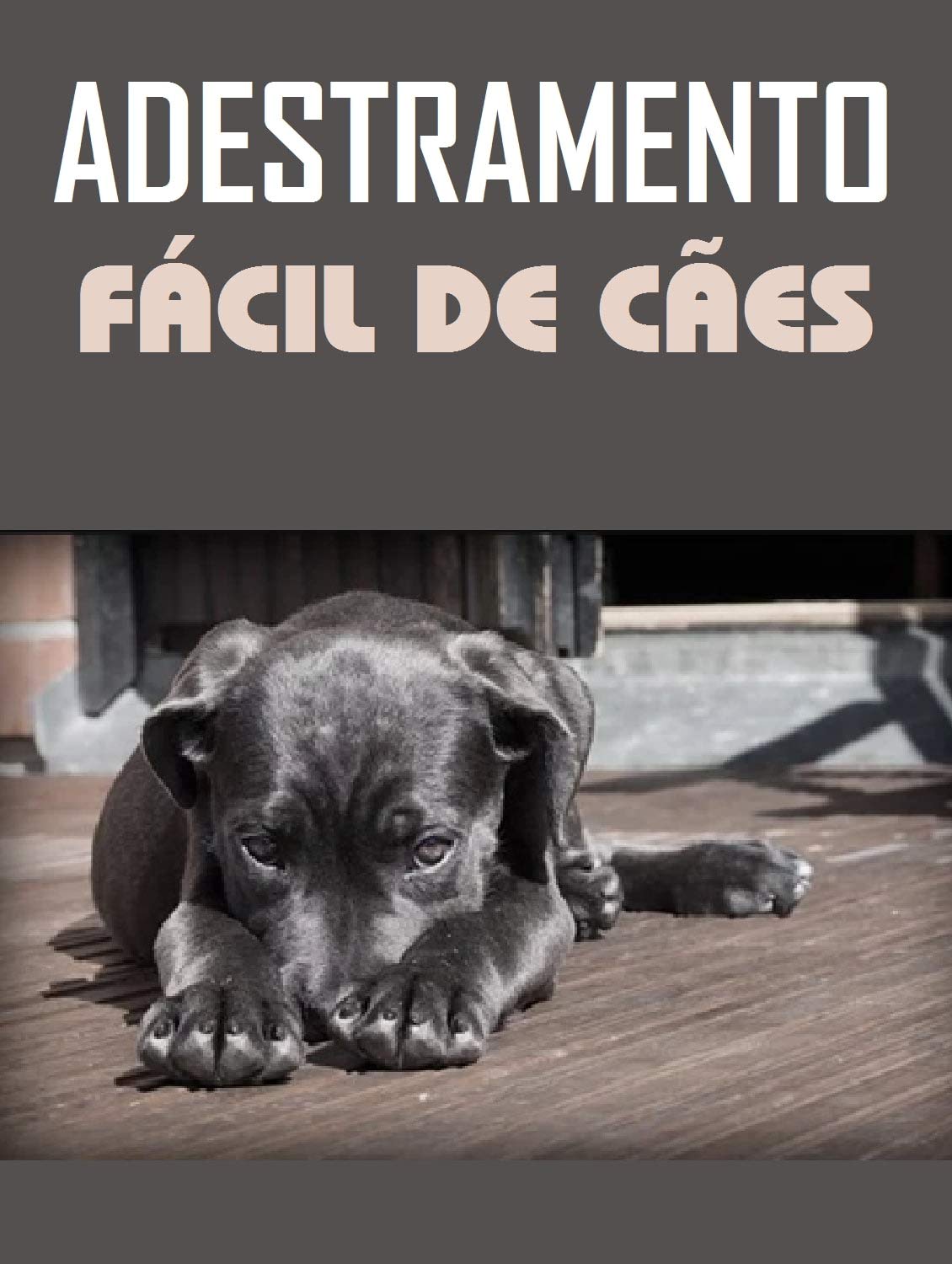 capítulo por capítulo baixar Adestramento Fácil de Cães: Descubra Como Adestrar O Seu Próprio Cão Em Até 14 Dias