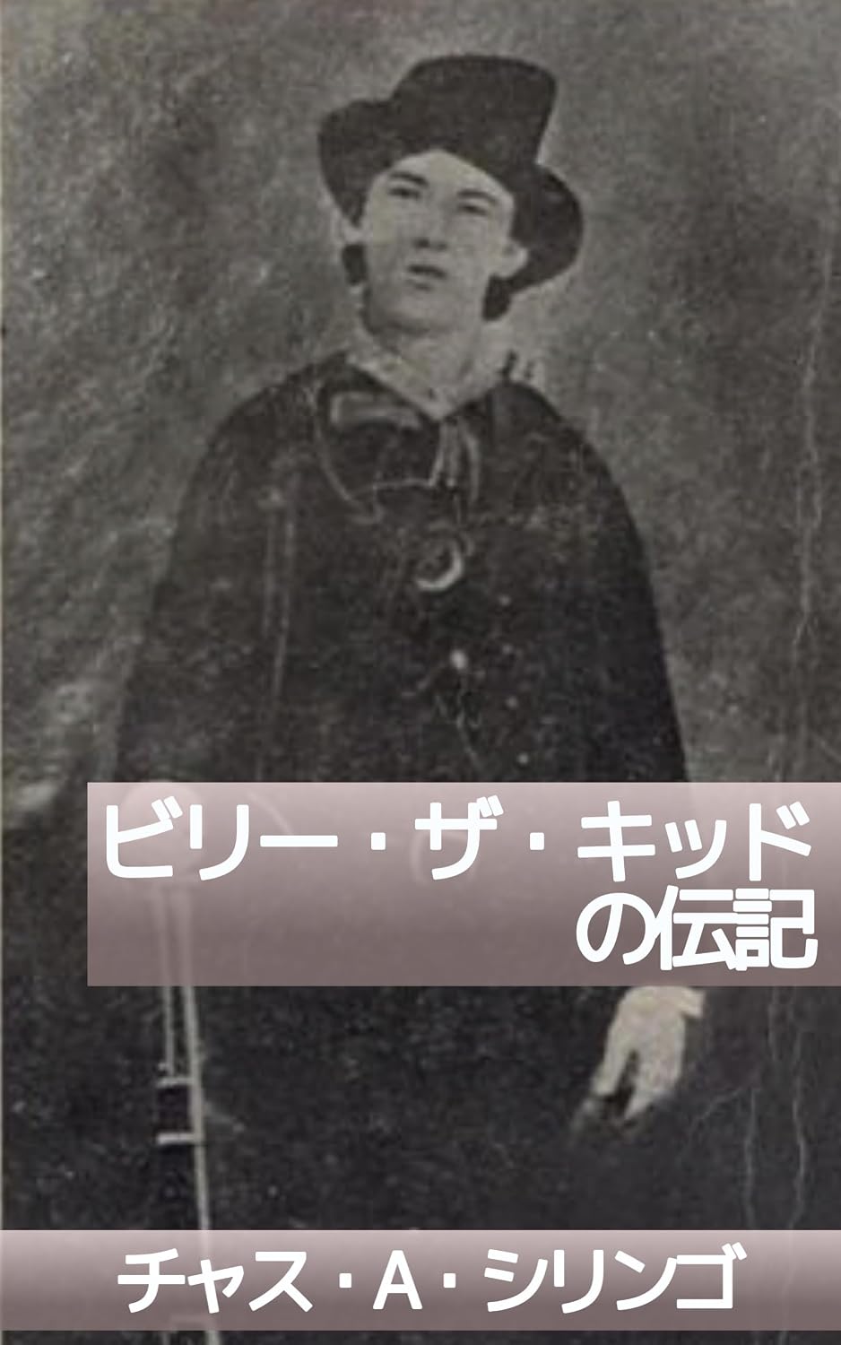vbiiikt: seikua (seikidoushoten) (Japanese Edition) baixar o livro de graça