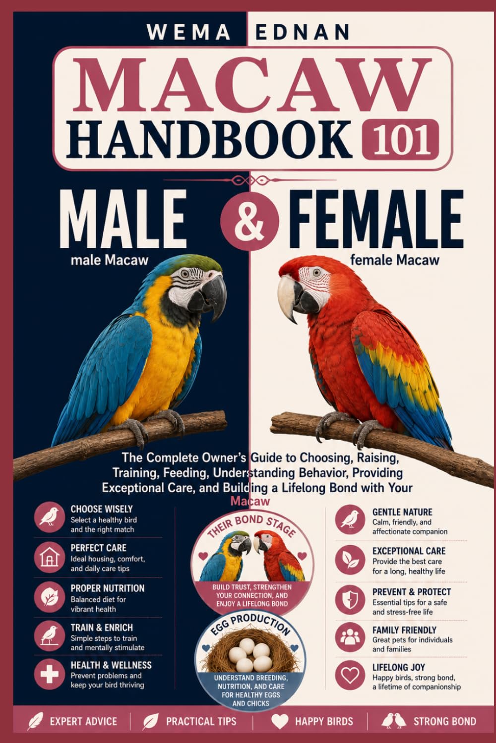 ler totalmente Macaw Handbook 101: The Complete Owner's Guide to Choosing, Raising, Training, Feeding, Understanding Behavior, Providing Exceptional Care, and Building a Lifelong Bond with Your Macaw