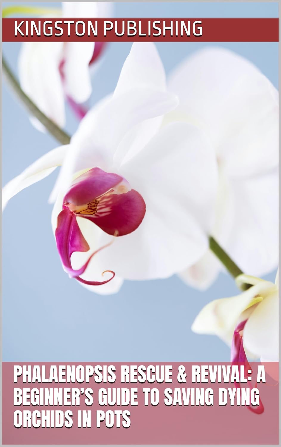 capítulo por capítulo baixar Phalaenopsis Rescue & Revival: A Beginner’s Guide to Saving Dying Orchids in Pots (Stunning Potted Flowers) (English Edition)