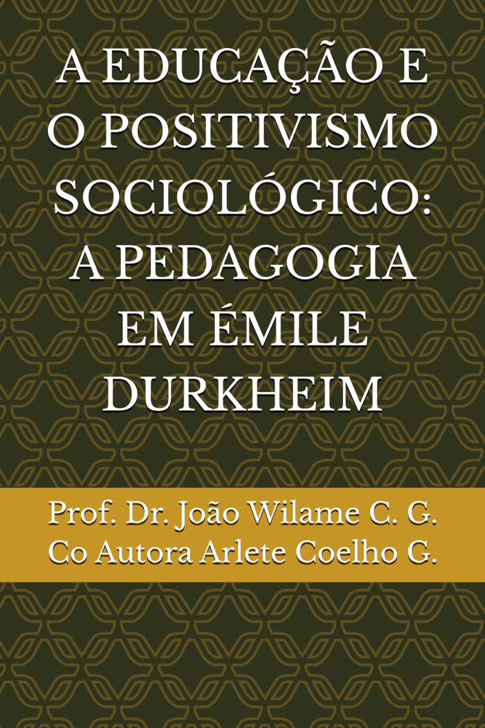 A Educação E O Positivismo Sociológico: A Pedagogia Em Émile Durkheim baixar livro de graça