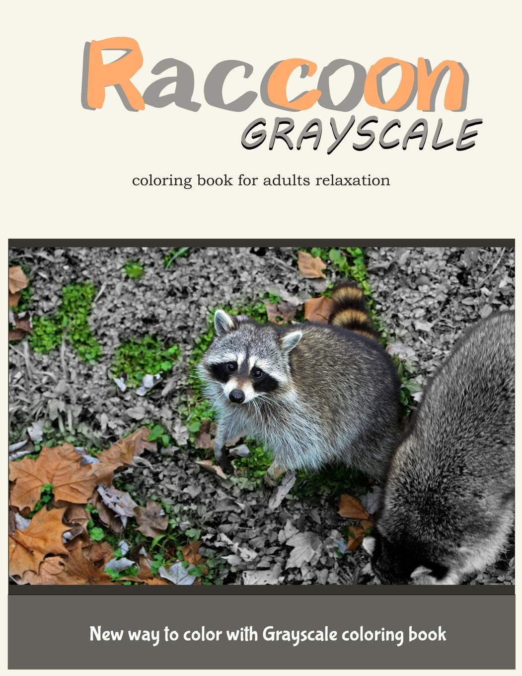 Raccoon Grayscale Coloring Book for Adults Relaxation: New Way to Color With Grayscale Coloring Book baixar o livro de graça