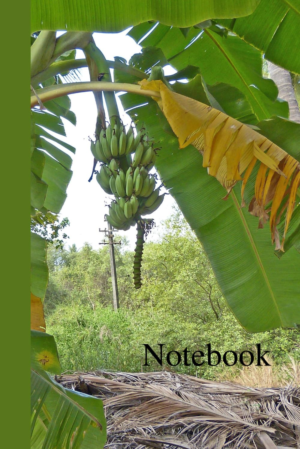 Notebook: Banana Tree, Original Art Photograph, 120 Lined Pages, 6" x 9" baixar o livro de graça