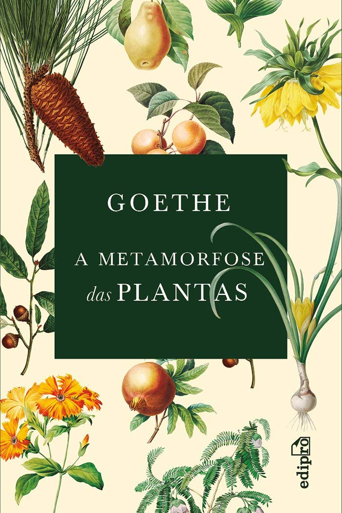 capítulo por capítulo baixar Goethe - A Metamorfose das Plantas