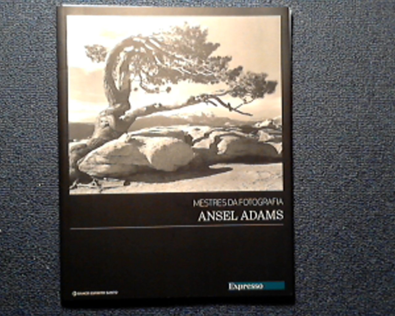 capítulo por capítulo baixar Ansel Adams