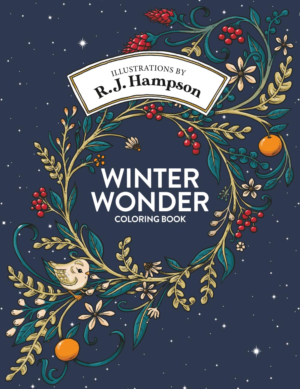 Winter Wonder Coloring Book (R.J. Hampson Coloring Books) baixar livro de graça