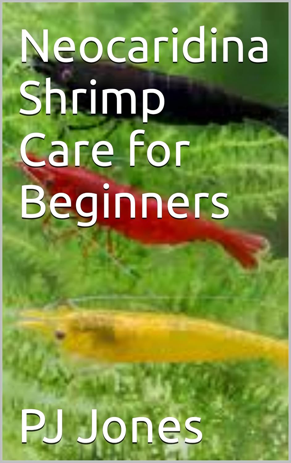 Neocaridina Shrimp Care for Beginners (Home Aquarium Care for Beginners) (English Edition) baixar livro de graça