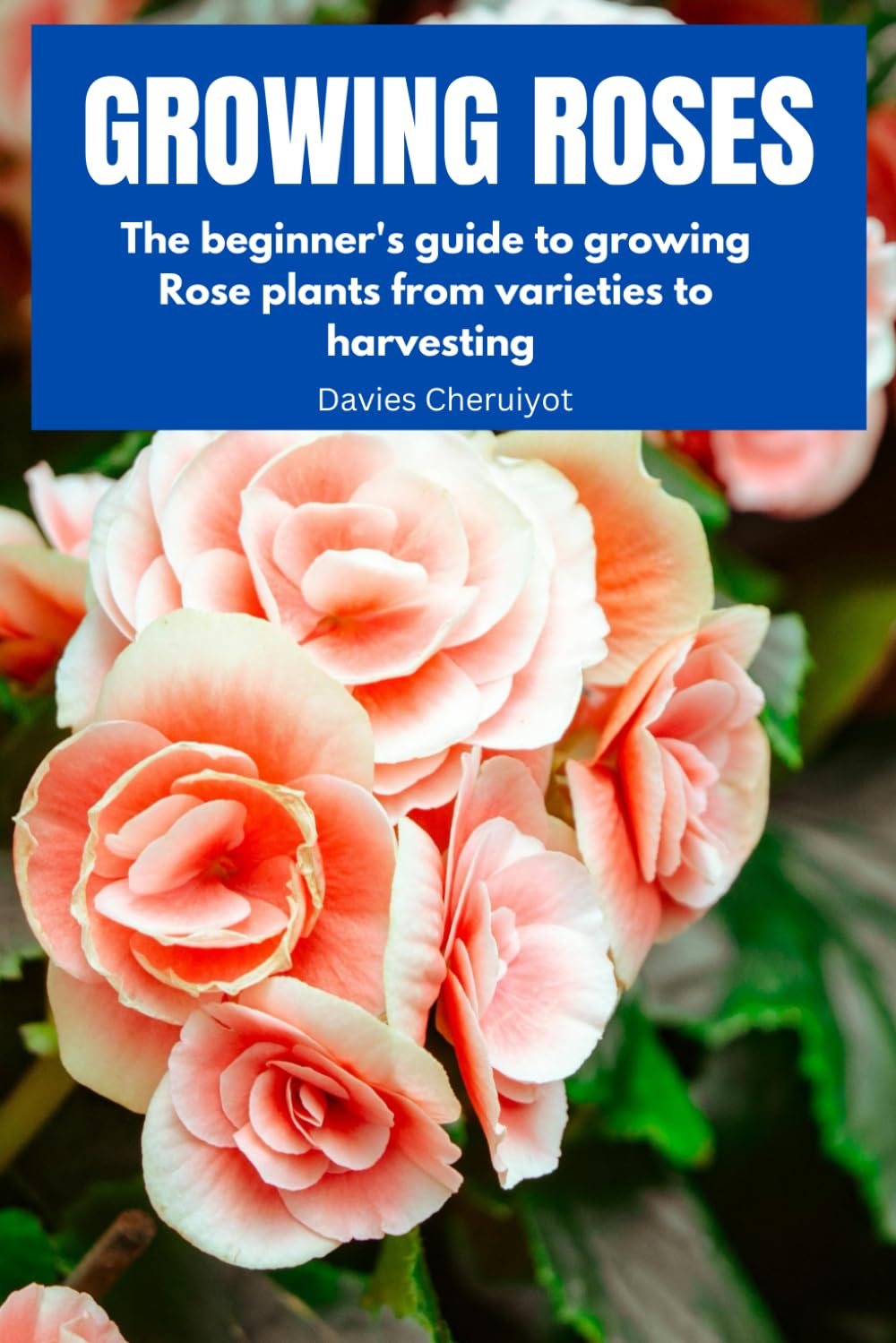 GROWING ROSES: The beginner's guide to growing Rose plants from varieties to harvesting (1)