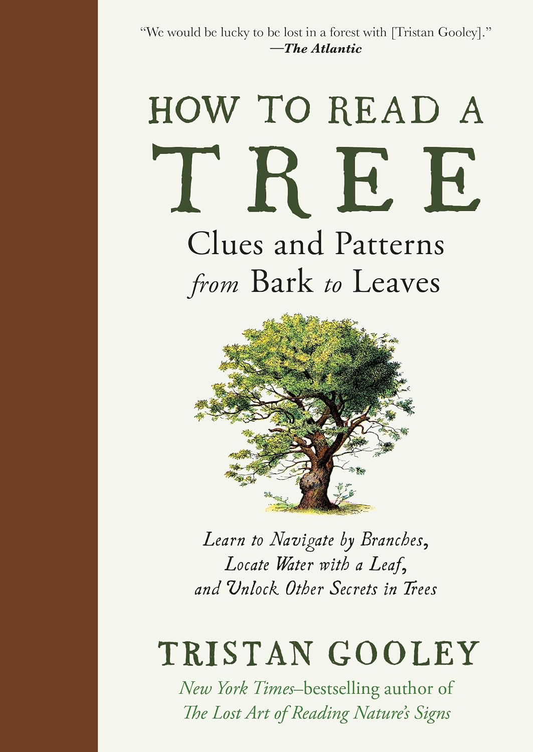 How to Read a Tree: Clues and Patterns from Bark to Leaves: 0 baixar o livro de graça