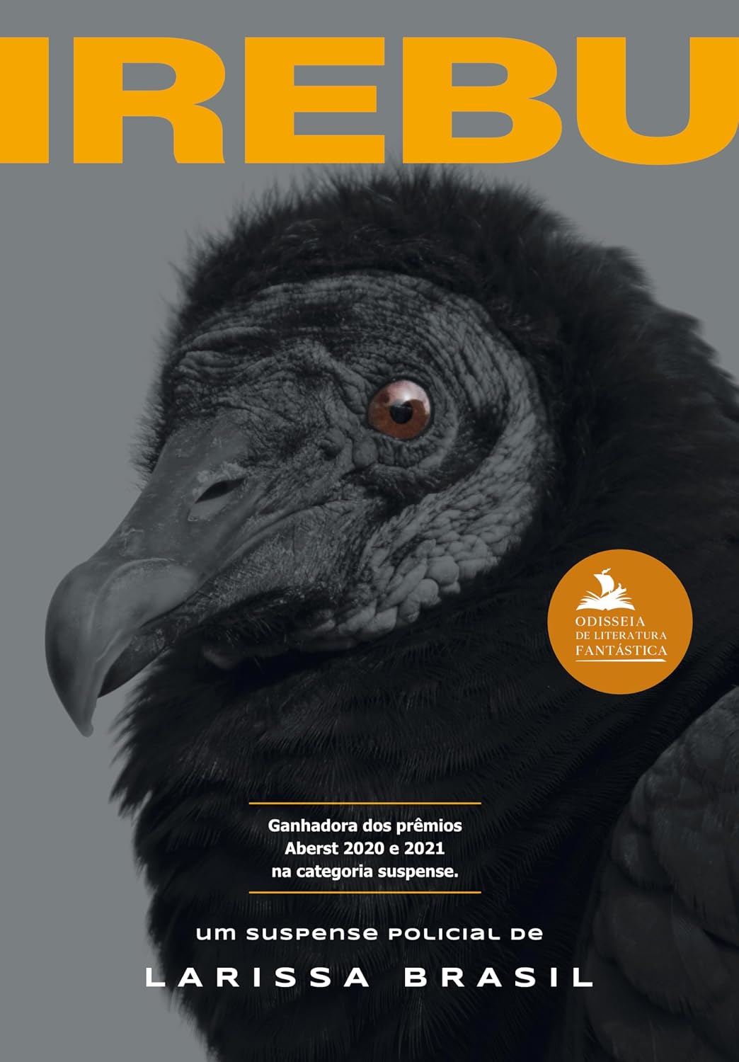 ler totalmente Irebu (Suspense investigativo de Nanda Noronha Livro 2)