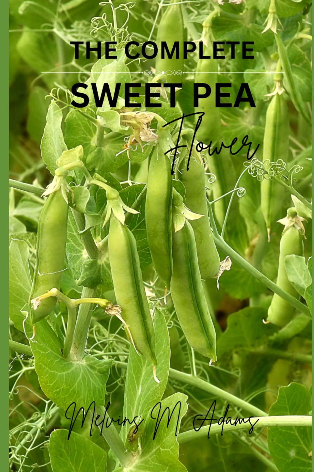 How to grow sweet peas flower for beginners: The Ultimate Beginner's Guide to Growing, Caring for, and Harvesting sweet peas at Home and garden baixar livro de graça