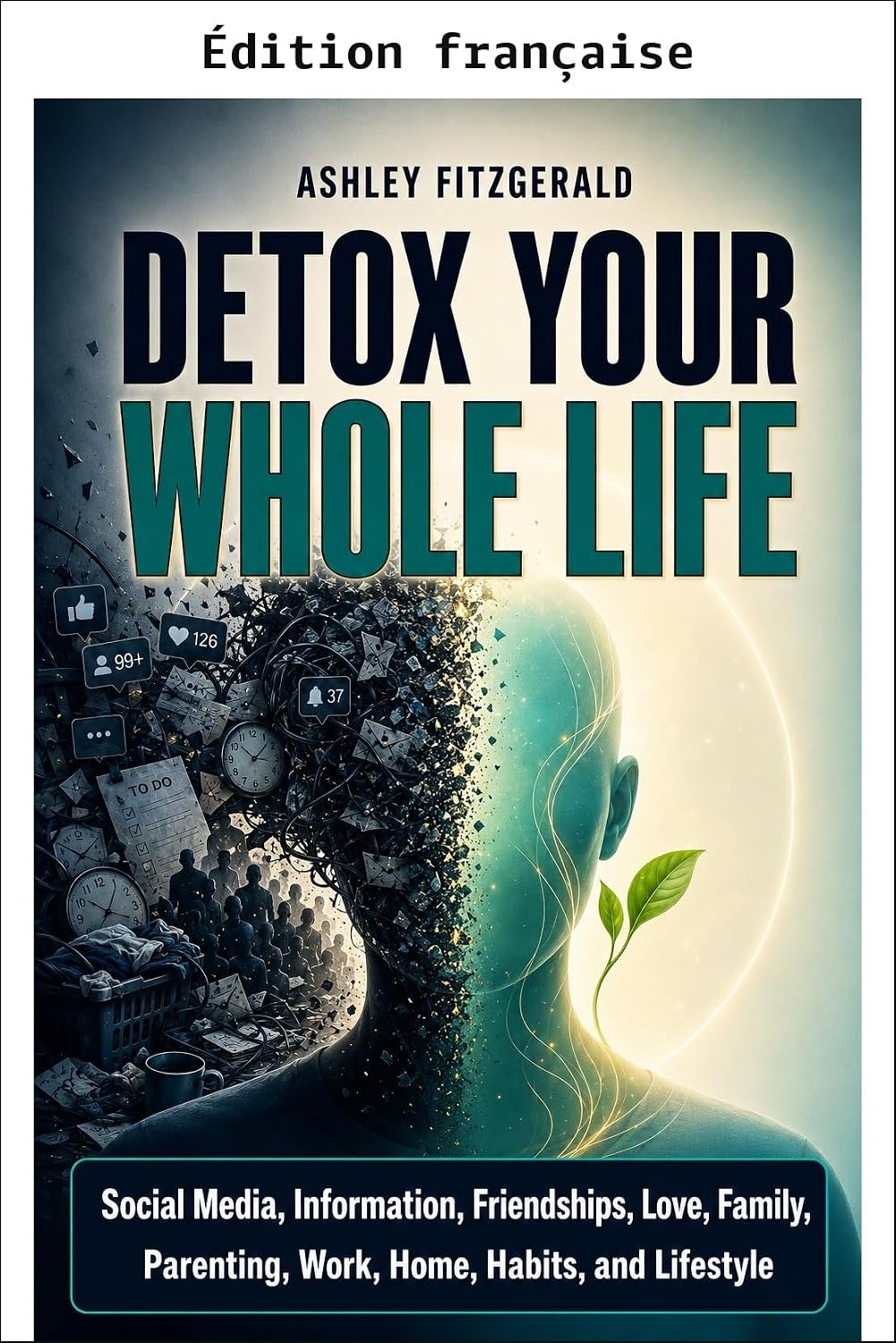 Détoxifiez toute votre vie. Réseaux sociaux, information, amitiés, amour, famille, parentalité, travail, maison, habitudes et mode de vie (French Edition) baixar livro de graça
