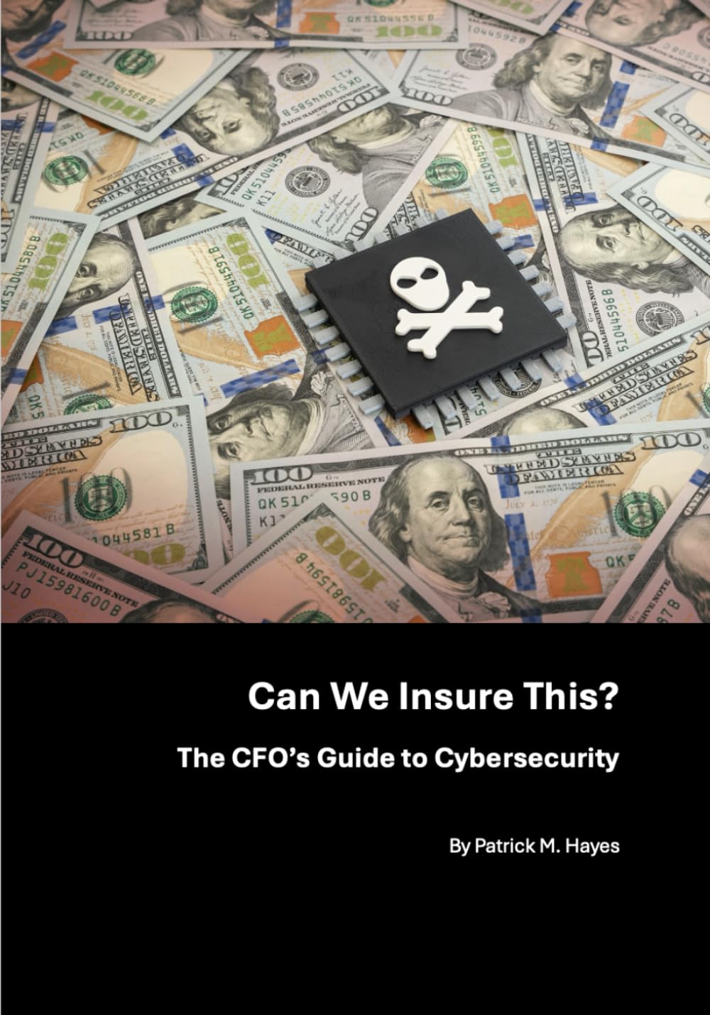 capítulo por capítulo baixar Can We Insure This?: The CFO’s Guide to Cybersecurity