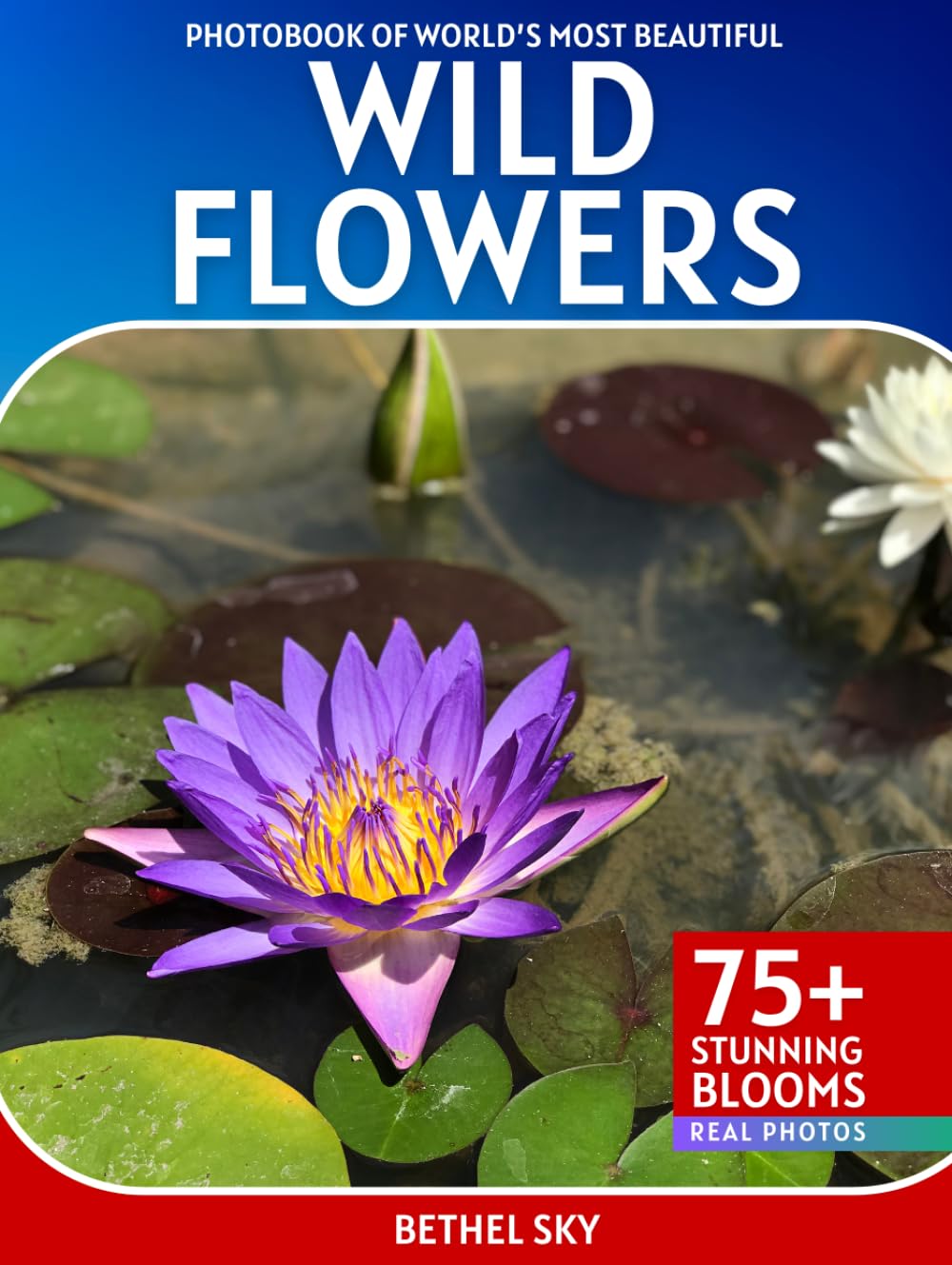 Wild Flowers Photobook: A Stunning Visual Journey Through the World's Most Beautiful Wildflowers baixar o livro de graça