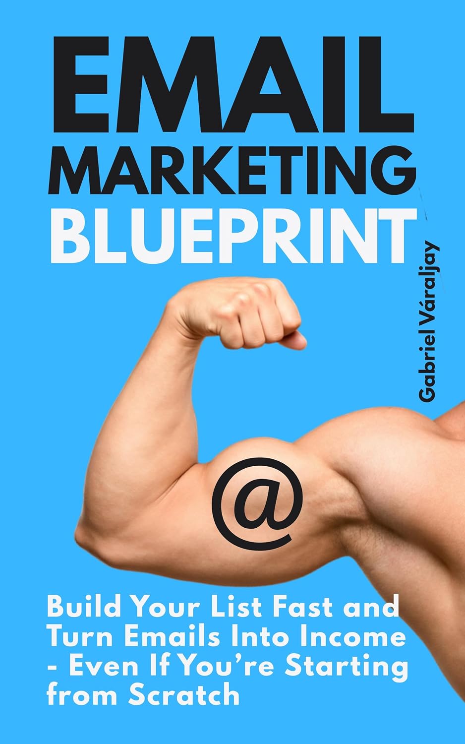 Email Marketing Blueprint: Build Your List Fast and Turn Emails Into Income - Even If You’re Starting from Scratch (English Edition) baixar livro de graça