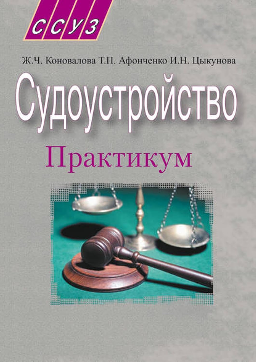 Судоустройство. Практикум (Russian Edition) baixar livro de graça