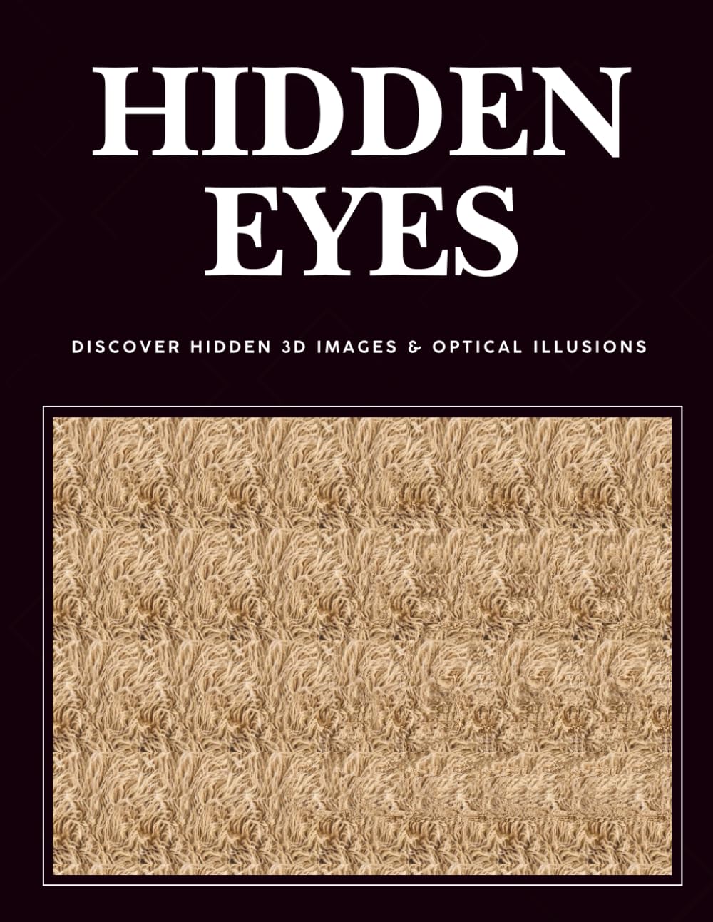 Hidden Eyes 3D Stereogram Puzzle Book: Hidden Images, Optical Illusions & Eye Training baixar livro de graça