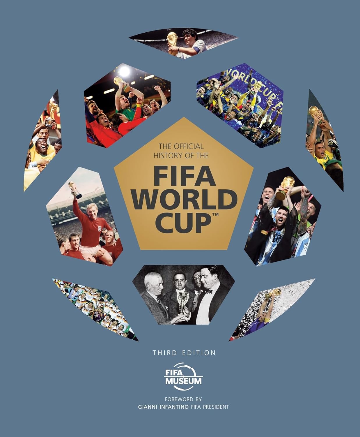 ler totalmente The Official History of the Fifa World Cup