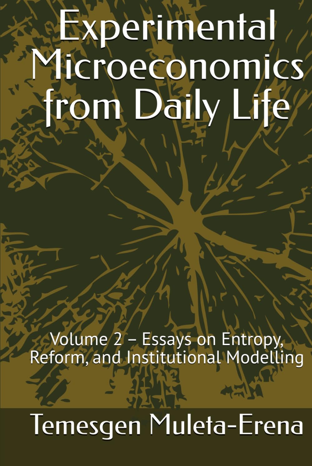 Experimental Microeconomics from Daily Life: Volume 2 – Essays on Entropy, Reform, and Institutional Modelling (Experimental Microeconomics Series) baixar livro de graça