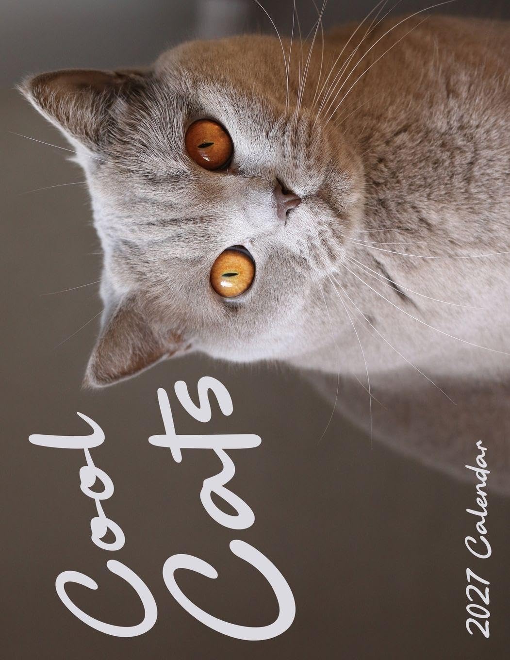 Cool Cats 2027 Calendar baixar o livro de graça