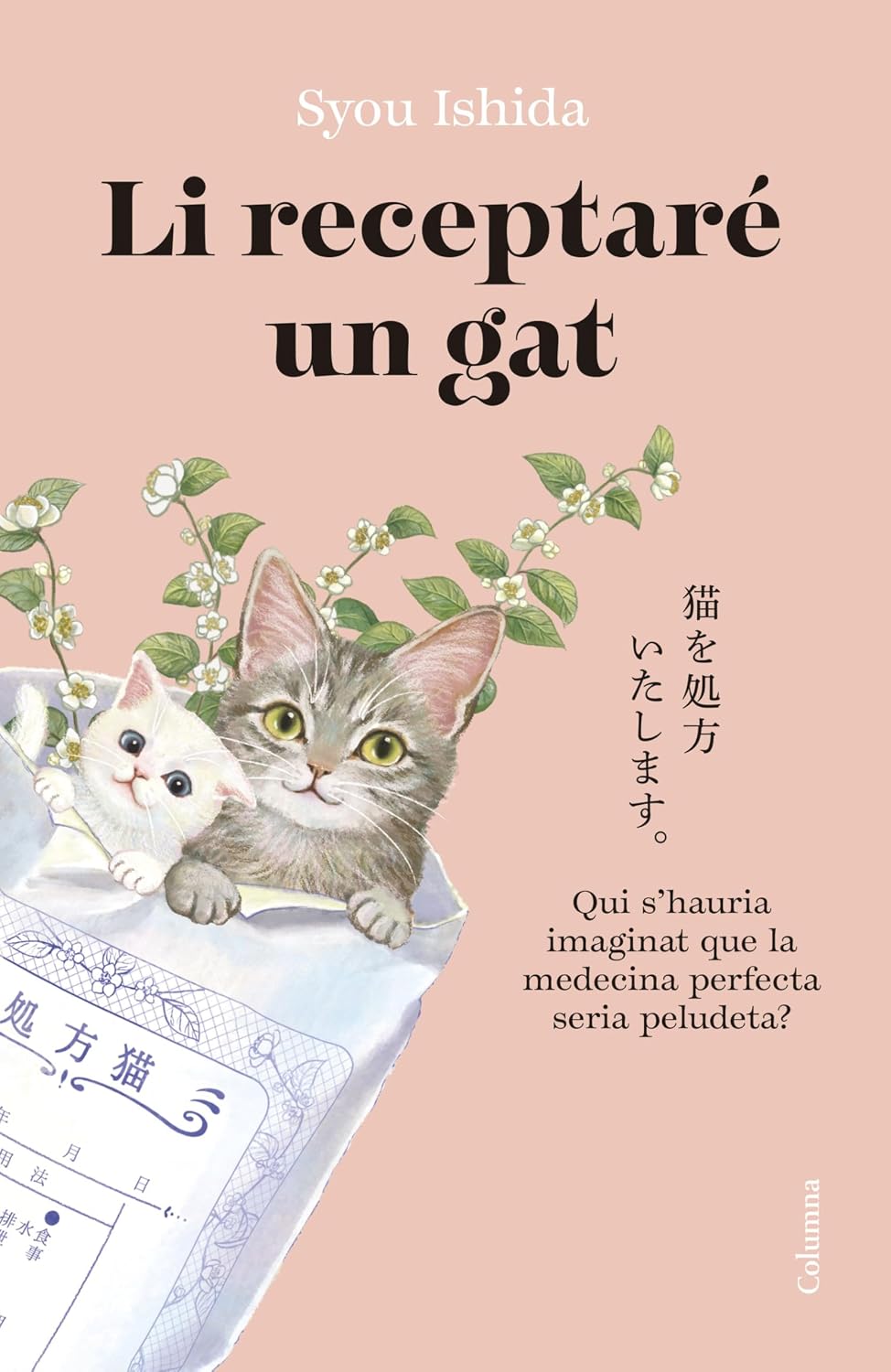 Li receptaré un gat: 1 baixar livro de graça