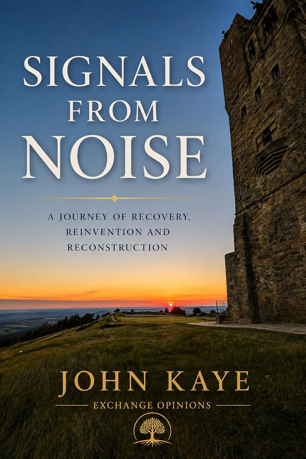 Signals from Noise: An Engineer's Journey through Recovery, Technology and Public Opinion (English Edition) baixar livro de graça