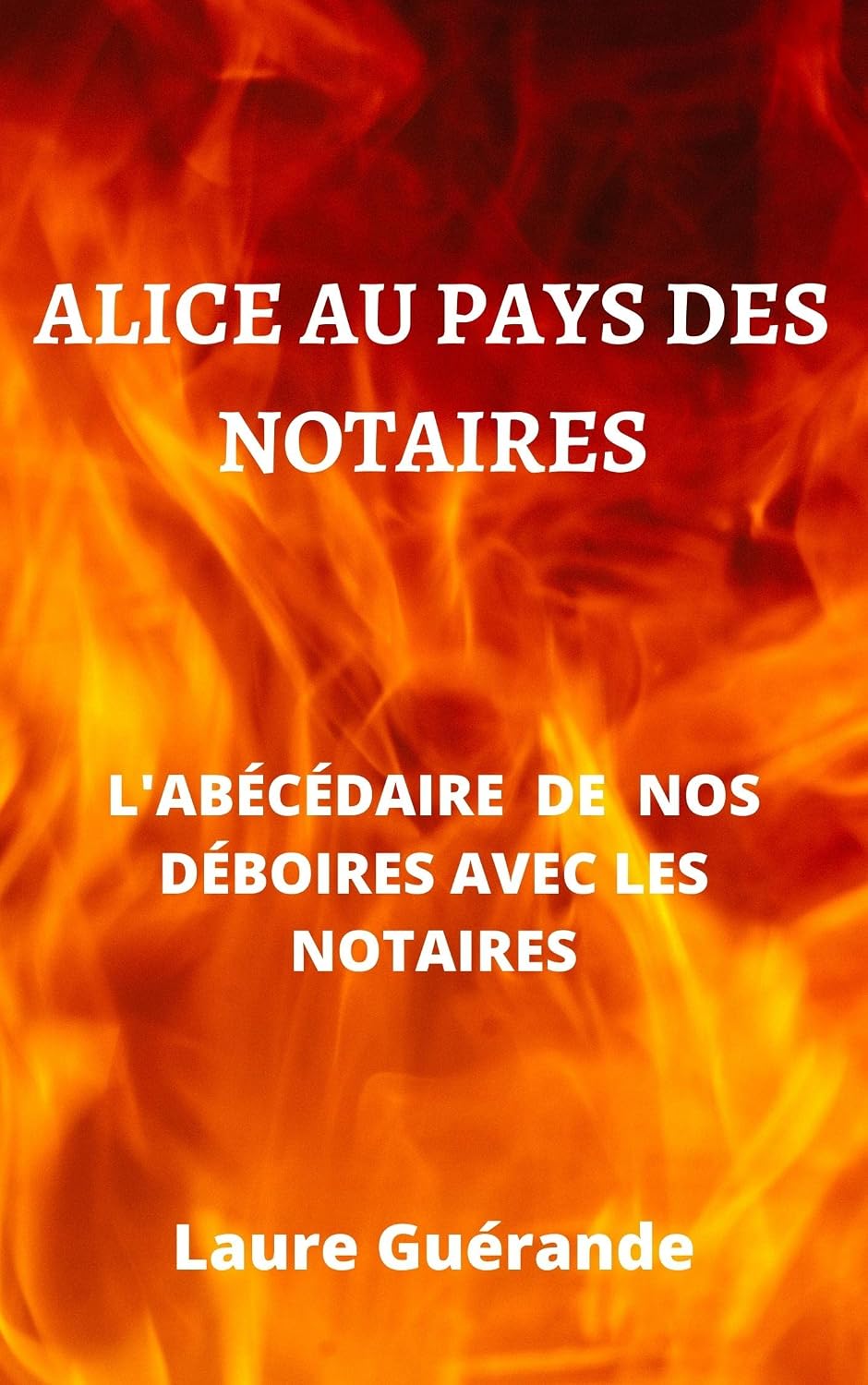 ler totalmente Alice au pays des notaires: l'abécédaire de nos déboires avec les notaires (French Edition)