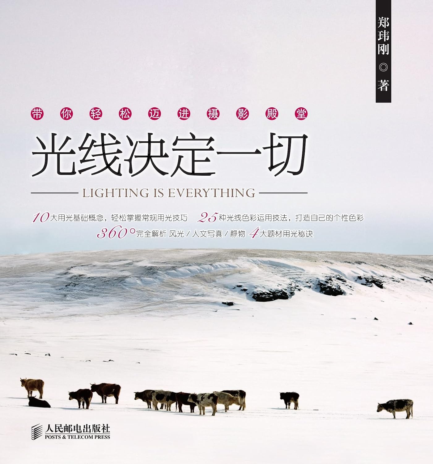 ler totalmente 光线决定一切（实战加强版） (Chinese Edition)