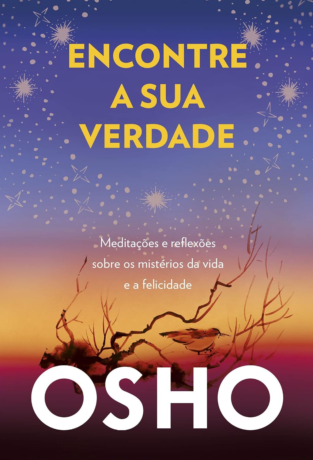 Encontre a sua verdade: meditações e reflexões sobre os mistérios da vida e a felicidade