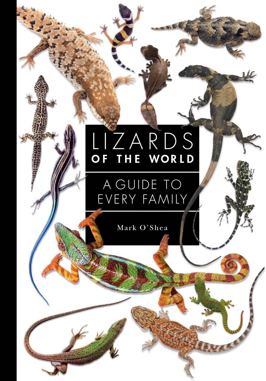 Lizards of the World: A Guide to Every Family: 1 baixar livro de graça