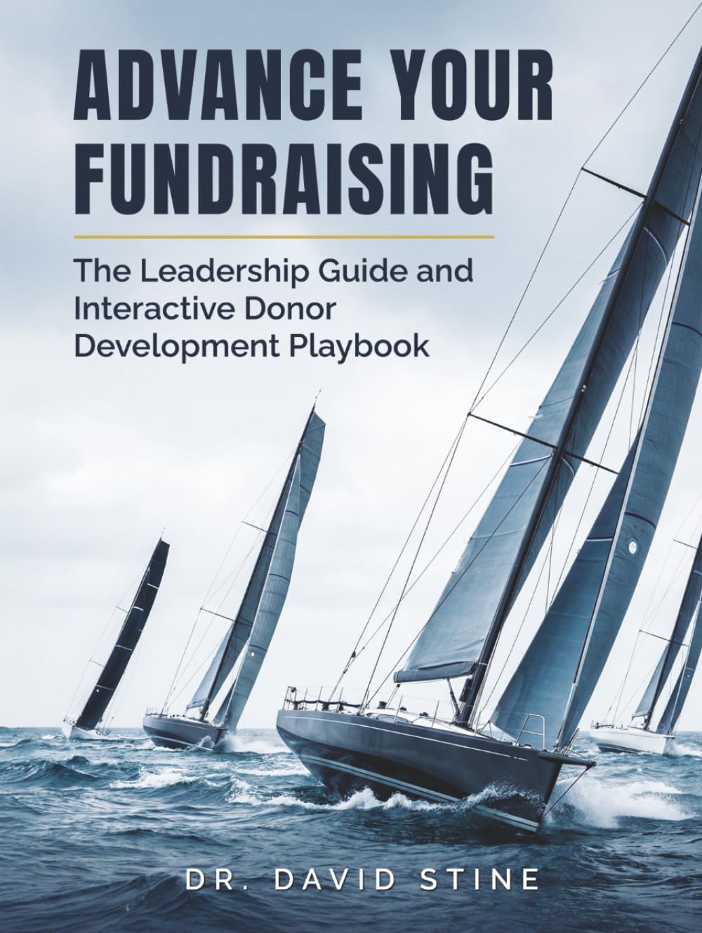 ler totalmente Advance Your Fundraising: The Leadership Guide and Interactive Donor Development Playbook