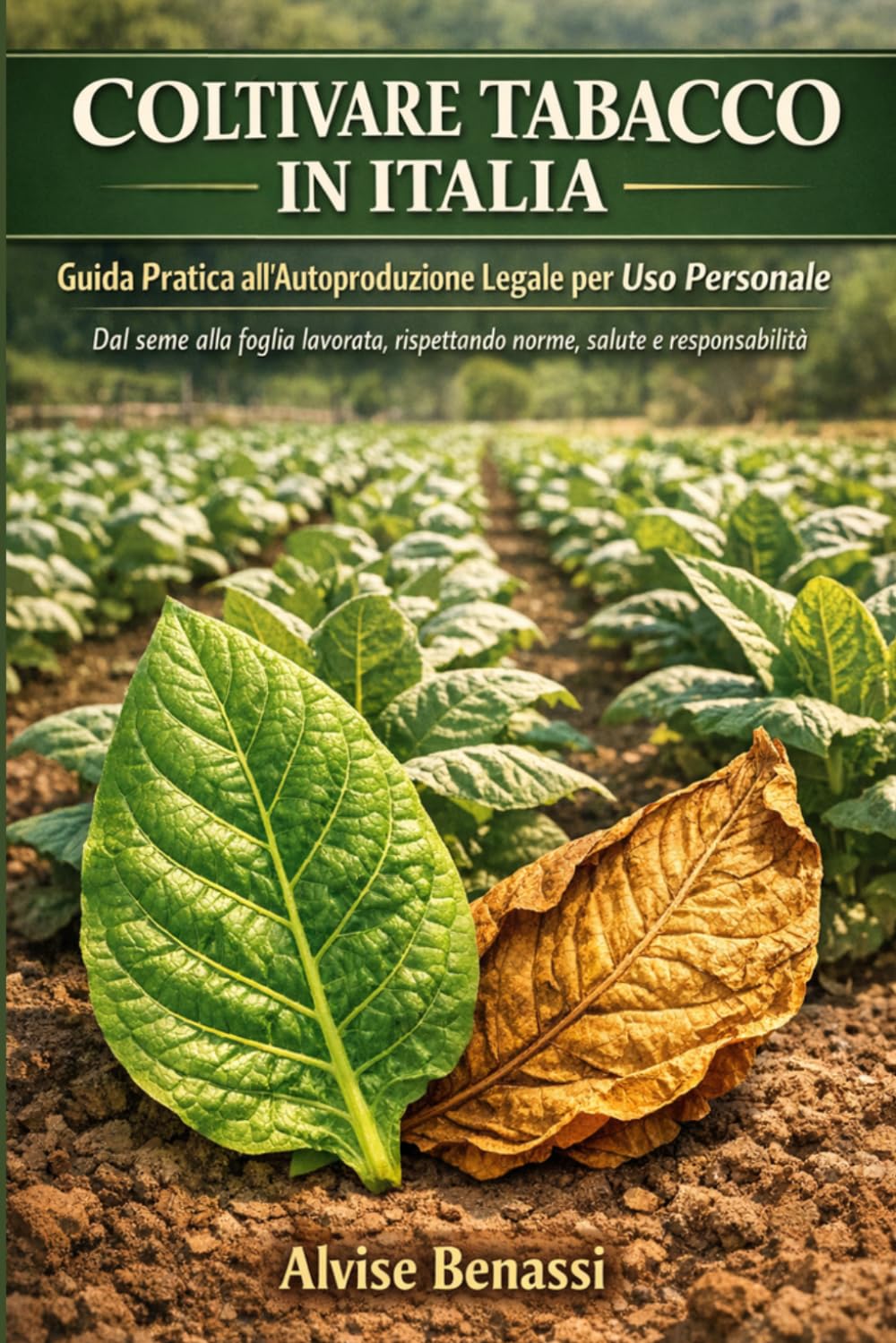 ler totalmente Coltivare Tabacco in Italia: Guida Pratica all'Autoproduzione Legale per Uso Personale. Dal seme alla foglia lavorata, rispettando norme, salute e responsabilità (Italian Edition)