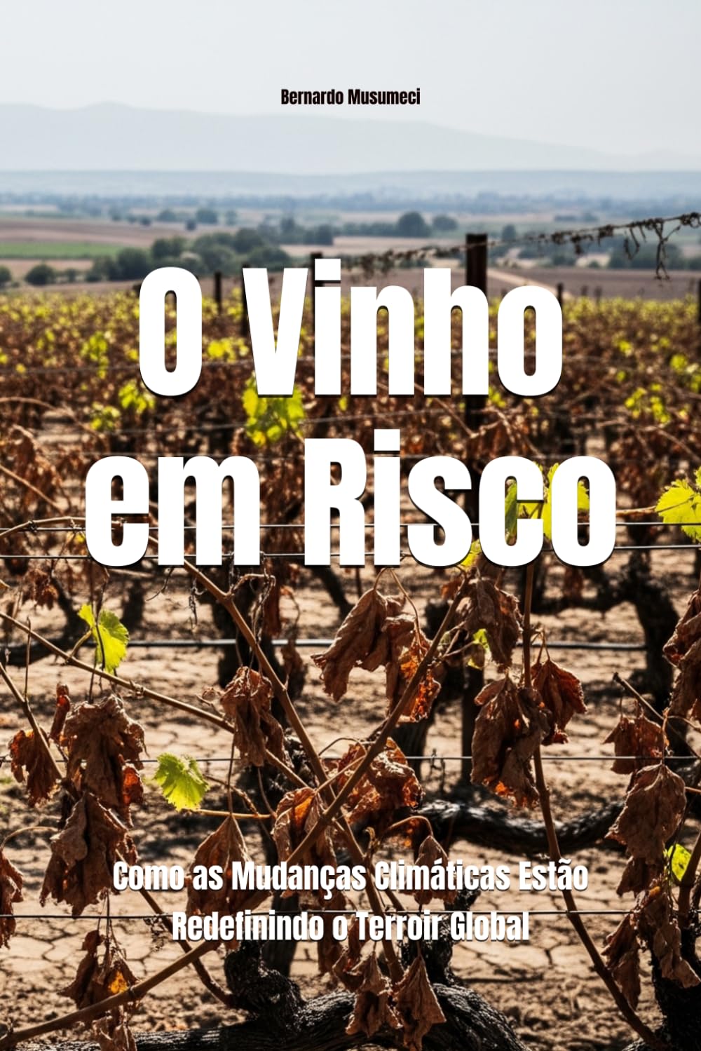 O Vinho em Risco: Como as Mudanças Climáticas Estão Redefinindo o Terroir Global