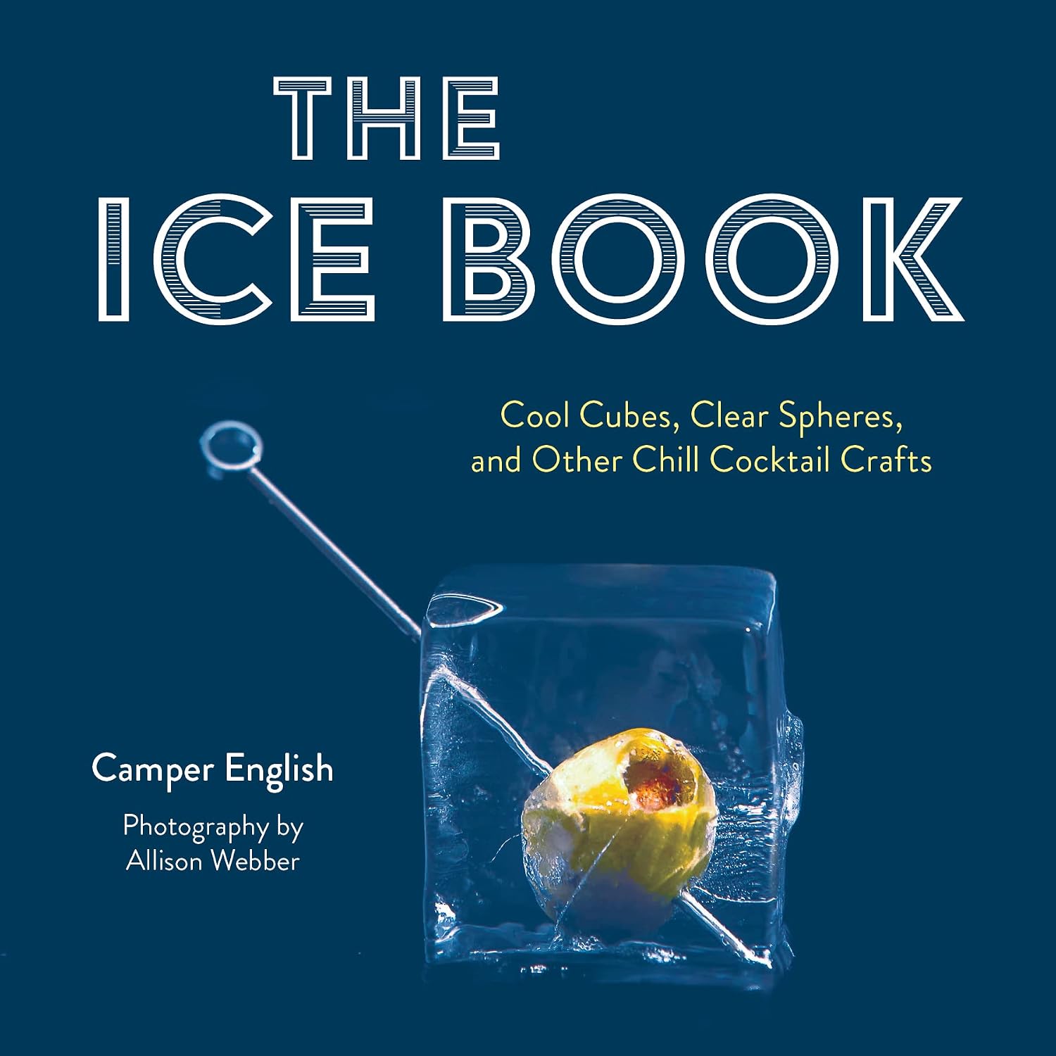 capítulo por capítulo baixar The Ice Book: Cool Cubes, Clear Spheres, and Other Chill Cocktail Crafts