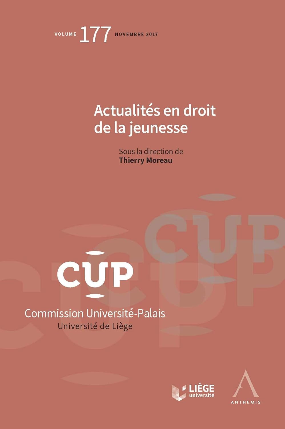 capítulo por capítulo baixar Actualités en droit de la jeunesse: Examen et mise en perspective (Commission Université-Palais t. 177) (French Edition)