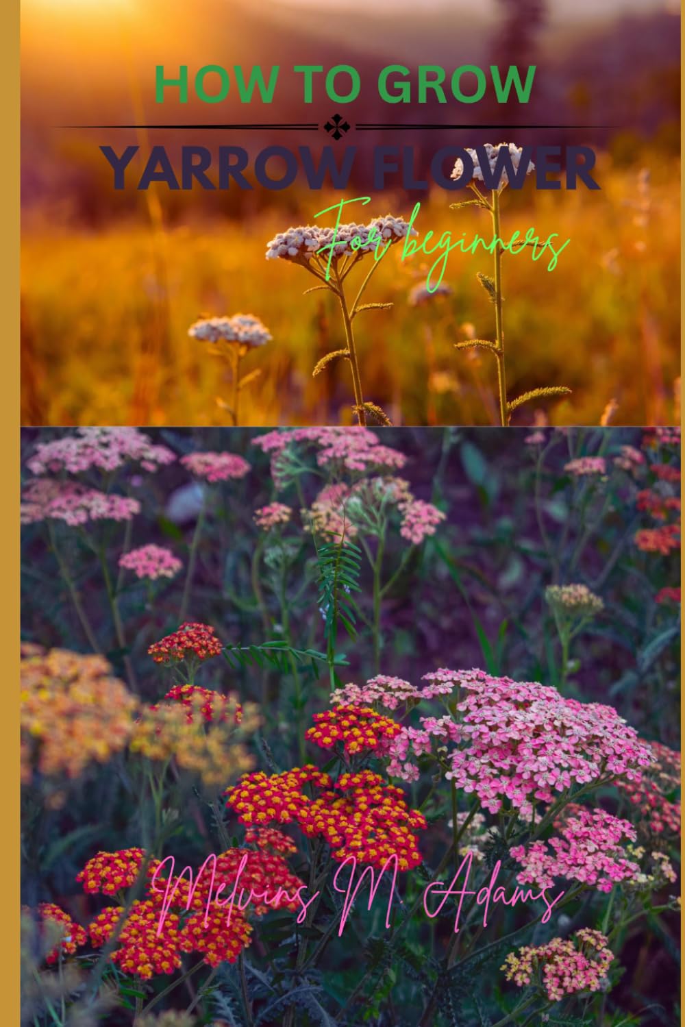 ler totalmente How to grow Yarrow flowers for beginners: The Ultimate Beginner's Guide to Growing, Caring for, and Harvesting Yarrow at Home and garden