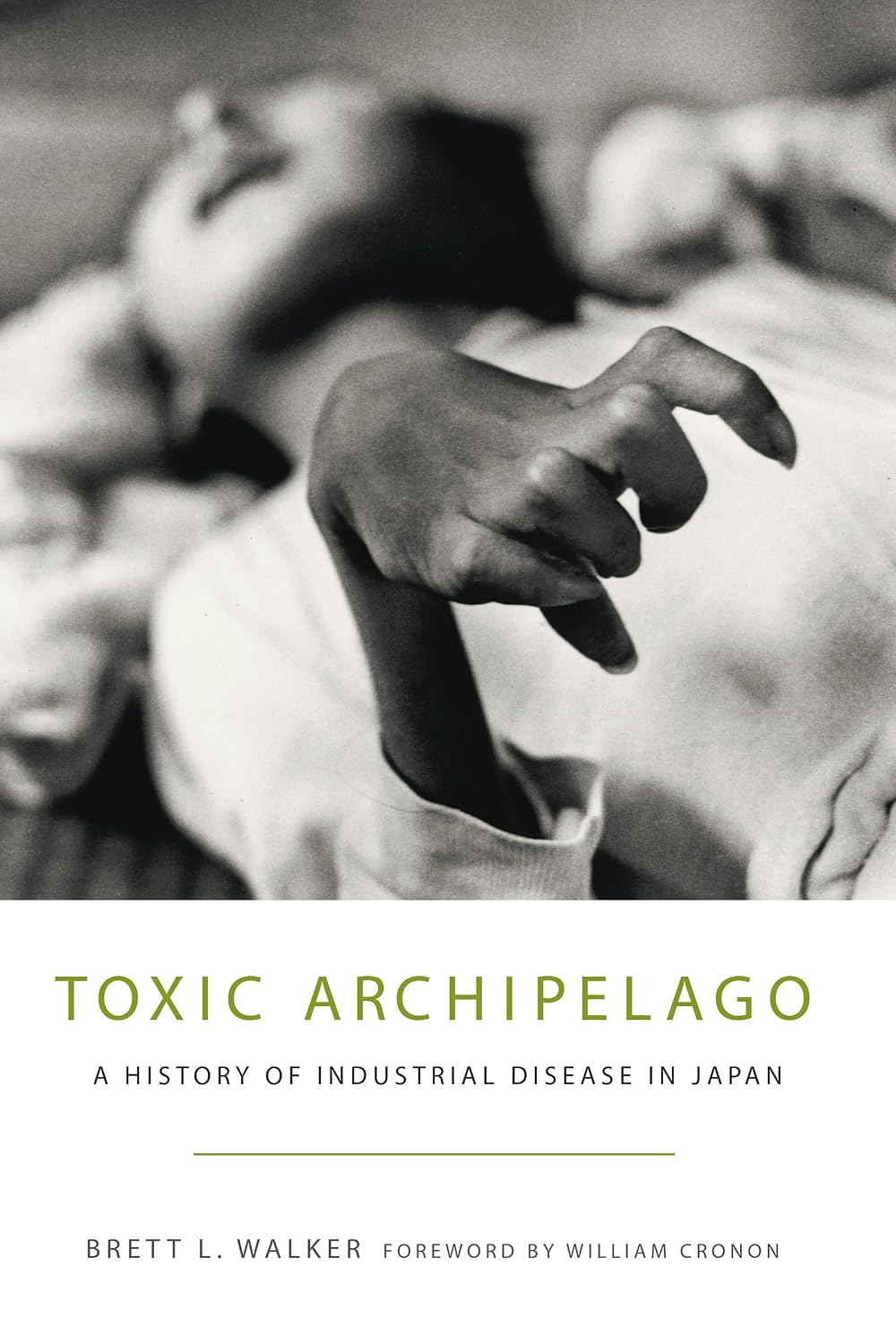 Toxic Archipelago: A History of Industrial Disease in Japan baixar o livro de graça