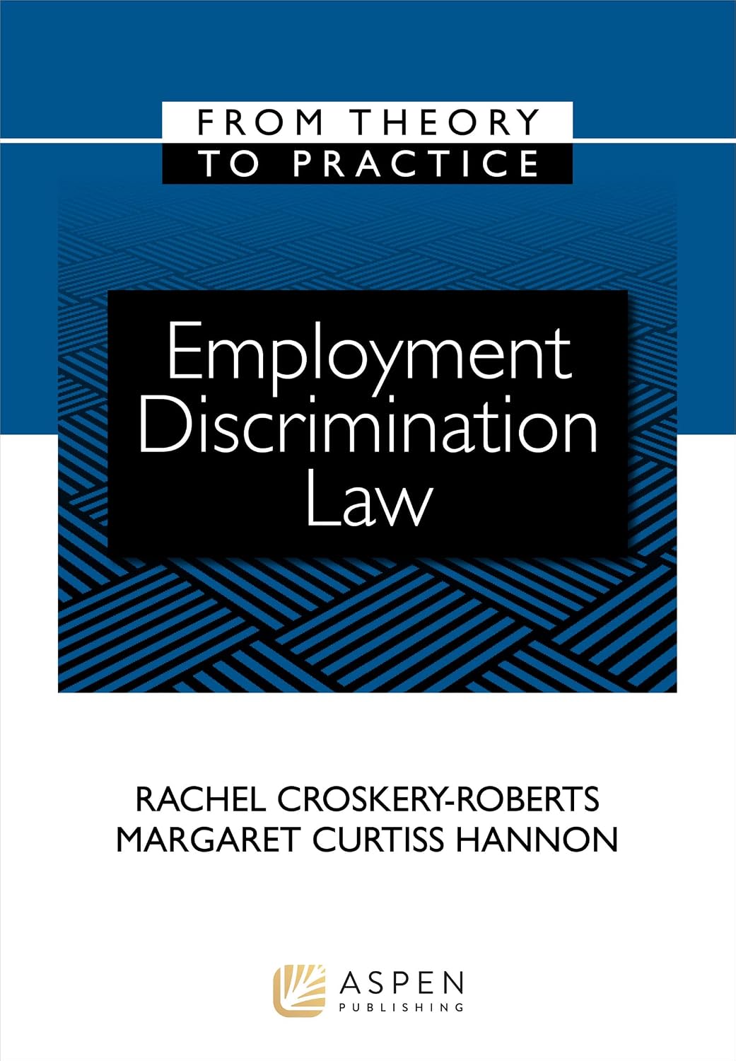 ler totalmente Employment Discrimination Law: From Theory to Practice (Aspen Coursebook Series) (English Edition)