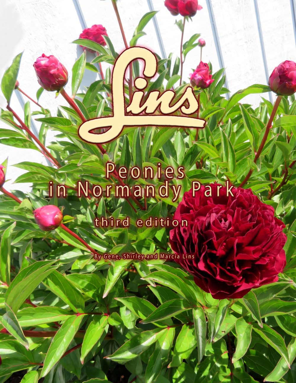 Lins Peonies in Normandy Park: Third edition baixar o livro de graça