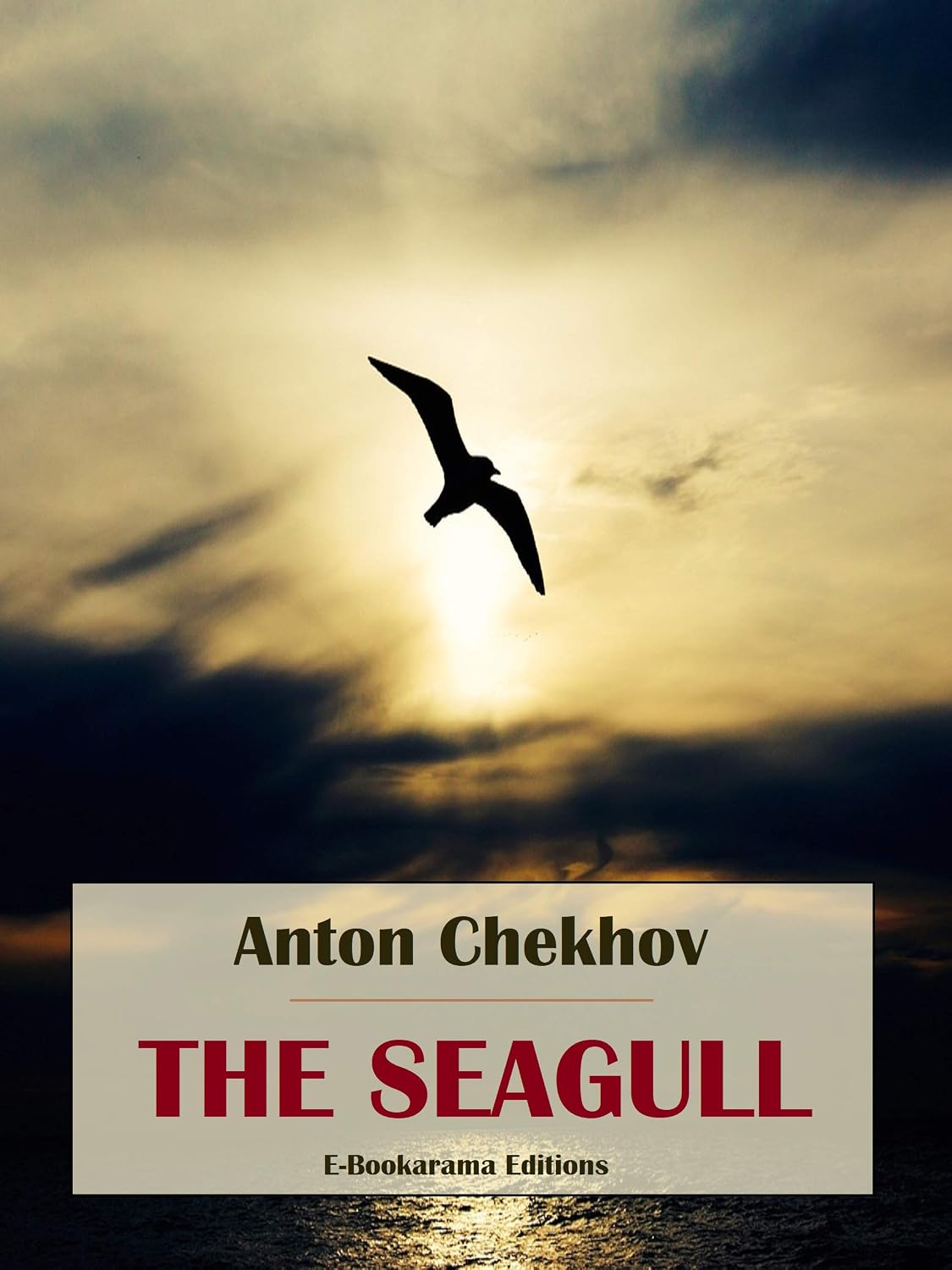 The Seagull (English Edition)