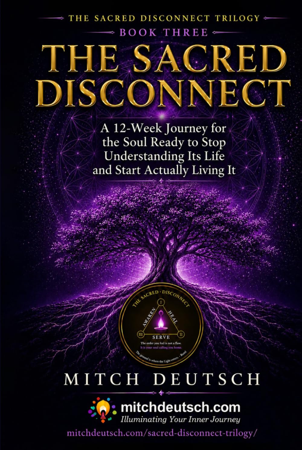 ler totalmente The Sacred Disconnect Workbook: A 12-Week Journey for the Soul Ready to Stop Understanding Its Life and Start Actually Living It