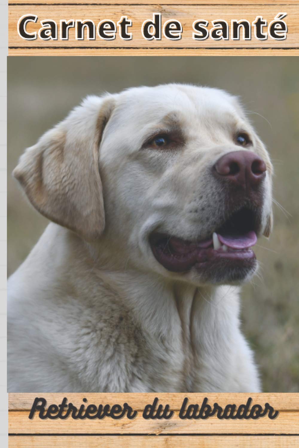 CARNET DE SANTE RETRIEVER DU LABRADOR: Mon cahier de suivi santé chien Retriever du Labrador à remplir ou compléter | Mon carnet santé chien |... cm sur 22,86 cm 101 pages (French Edition) baixar o livro de graça
