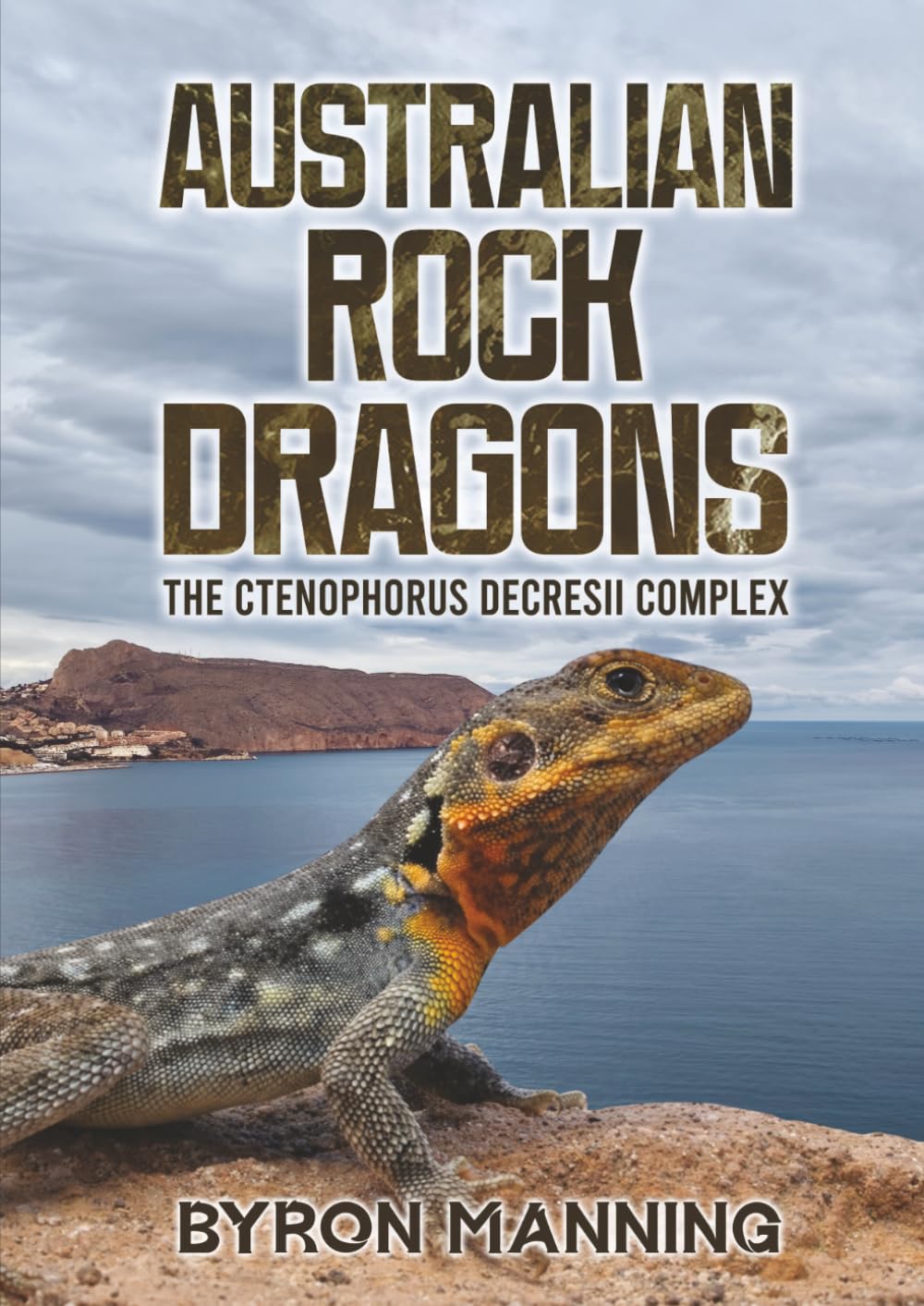 Australian Rock Dragons baixar livro de graça