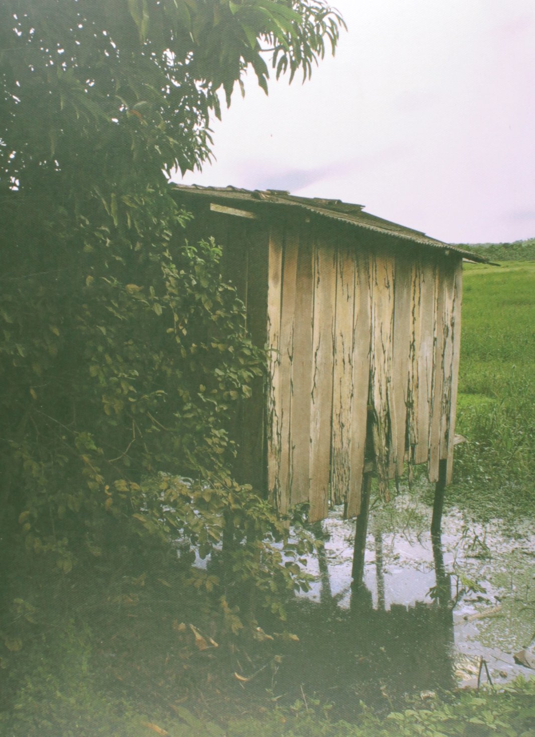 capítulo por capítulo baixar Água Escondida